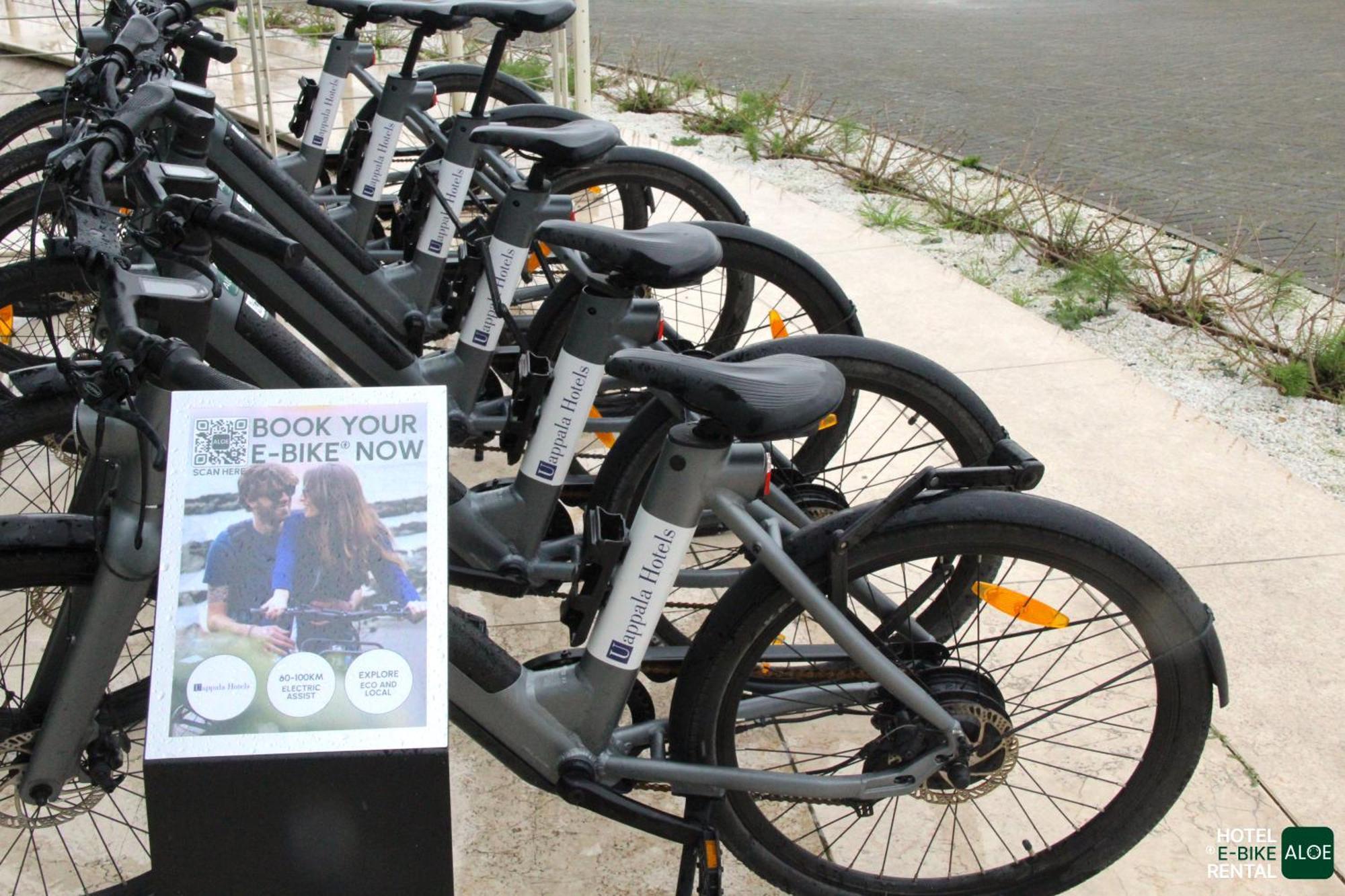 Pisa Tower Plaza Otel Dış mekan fotoğraf Free bikes for students